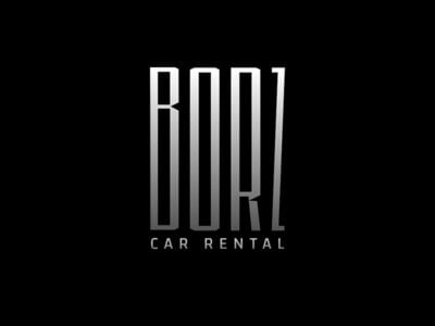 BORZ DETAILING - детейлинг автомобилей