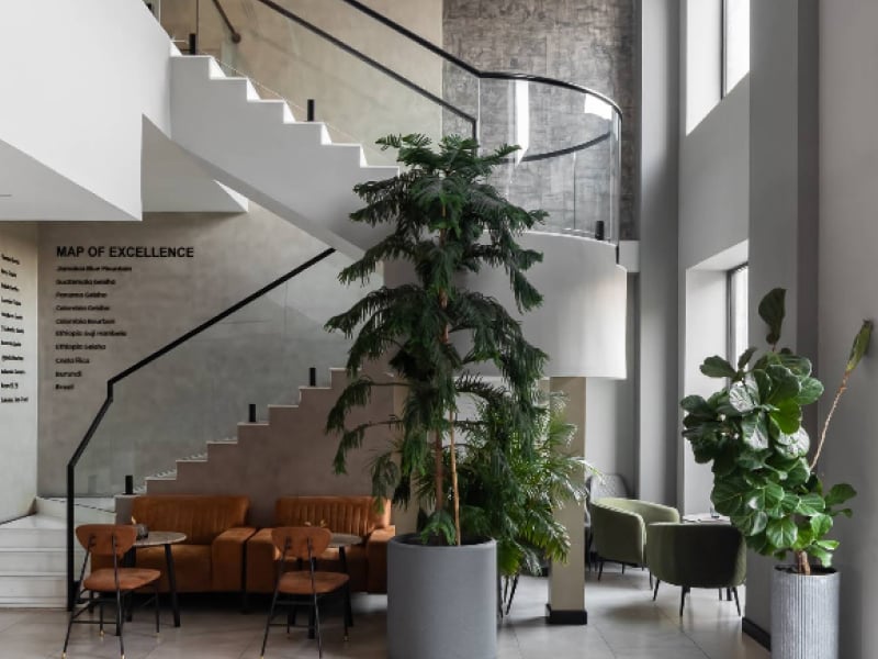 Roasters Specialty Coffee House