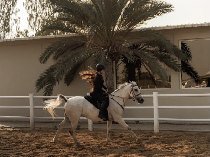 Etalon Equestrian - школа верховой езды
