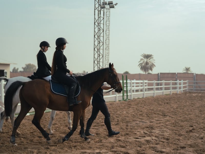 Etalon Equestrian - школа верховой езды